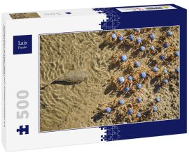 Lais Puzzle - Krötenfisch auf der Jagd nach Soldatenkrabben am Uferrand zum Mittagessen - 500 Teile