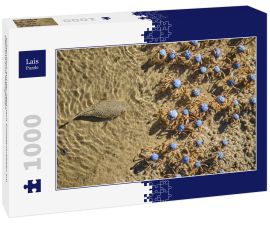 Lais Puzzle - Krötenfisch auf der Jagd nach Soldatenkrabben am Uferrand zum Mittagessen - 1.000 Teile