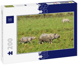 Lais Puzzle - Ein gehörntes Nashorn auf der Wiese des Pobitora Wildlife Sanctuary, Indien - 200 Teile