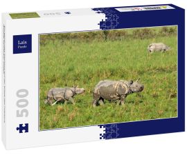 Lais Puzzle - Ein gehörntes Nashorn auf der Wiese des Pobitora Wildlife Sanctuary, Indien - 500 Teile