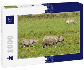 Lais Puzzle - Ein gehörntes Nashorn auf der Wiese des Pobitora Wildlife Sanctuary, Indien - 1.000 Teile