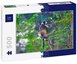 Lais Puzzle - Kappenlangur, Trachypithecus pileatus, Nameri National Park, Indien - 500 Teile