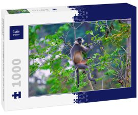 Lais Puzzle - Kappenlangur, Trachypithecus pileatus, Nameri National Park, Indien - 1.000 Teile