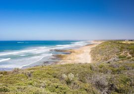 Lais Puzzle - Barwon Heads Park, Victoria, Australien - 500 & 1.000 Teile
