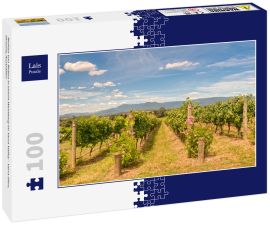 Lais Puzzle - Reihen von Reben in einem Weinberg im Yarra Valley - Yarra Glen, Victoria, Australien - 100 Teile