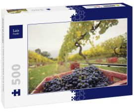 Lais Puzzle - Schwarze Trauben in Kiste auf Weinberg Yarra Valley Victoria Australien - 500 Teile