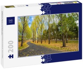 Lais Puzzle - Englische Bäume und Boden mit Herbstlaub bedeckt, Yarra Valley, Tarrawarra, Melbourne, Australien - 200 Teile