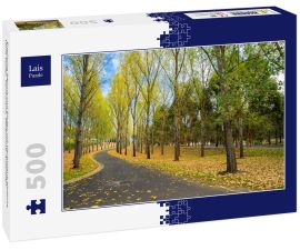 Lais Puzzle - Englische Bäume und Boden mit Herbstlaub bedeckt, Yarra Valley, Tarrawarra, Melbourne, Australien - 500 Teile