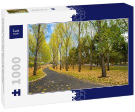 Lais Puzzle - Englische Bäume und Boden mit Herbstlaub bedeckt, Yarra Valley, Tarrawarra, Melbourne, Australien - 1.000 Teile