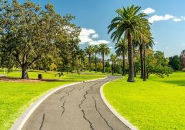 Lais Puzzle - Wanderweg durch den Footscray Park, Melbourne, Australien - 500 & 1.000 Teile
