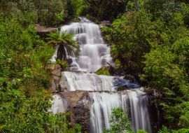 Lais Puzzle - Wunderschöne Fainter Falls im australischen Urwald. Kiewa Tal, Victoria, Australien - 500 & 1.000 Teile