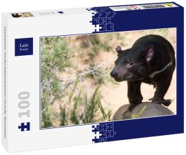 Lais Puzzle - Tasmanien Teufel Nahaufnahme Porträt, Australien - 100 Teile