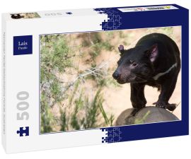 Lais Puzzle - Tasmanien Teufel Nahaufnahme Porträt, Australien - 500 Teile