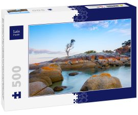 Lais Puzzle - Ein einzelner Baum wächst auf einem Granitfelsen in der Bay of Fires, an der Ostküste von Tasmanien, Australien - 500 Teile