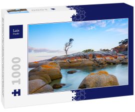 Lais Puzzle - Ein einzelner Baum wächst auf einem Granitfelsen in der Bay of Fires, an der Ostküste von Tasmanien, Australien - 1.000 Teile