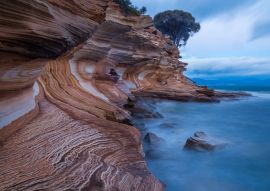 Lais Puzzle - Painted Cliffs im Maria Island National Park, Tasmanien, Australien. Erodierte Schichten aus Eisenoxid bilden interessante Muster in der Küstenlinie - 500 & 1.000 Teile