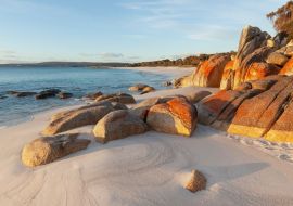 Lais Puzzle - Mit Flechten bedeckte Felsen. Bay of Fires. Tasmanien. Australien - 500 & 1.000 Teile