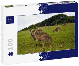 Lais Puzzle - Kängurus in der Nähe eines Pazifikstrandes in Australien - 100 Teile