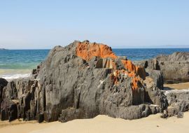 Lais Puzzle - Spiky Beach, Küste bei Swansea, Tasmanien, Australien - 500 & 1.000 Teile