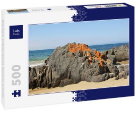 Lais Puzzle - Spiky Beach, Küste bei Swansea, Tasmanien, Australien - 500 Teile