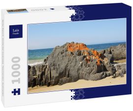 Lais Puzzle - Spiky Beach, Küste bei Swansea, Tasmanien, Australien - 1.000 Teile