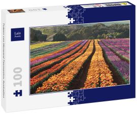 Lais Puzzle - Tulpen von Wynyard Tasmanien, Australien - 100 Teile