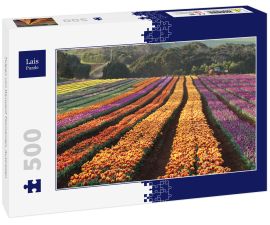 Lais Puzzle - Tulpen von Wynyard Tasmanien, Australien - 500 Teile