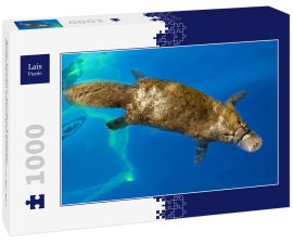 Lais Puzzle - Burnie, Tasmanien, Australien: Schnabeltier (Ornithorhynchus anatinus) beim Schwimmen im Blue River - 1.000 Teile