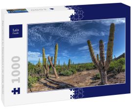 Lais Puzzle - Baja California Sur Riesenkaktus in der Wüste, Mexiko - 1.000 Teile