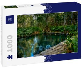 Lais Puzzle - Mangrovenwald am Ria Celestun See, Mexiko - 1.000 Teile