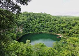 Lais Puzzle - Cenote Miguel Colorado, Mexiko - 500 & 1.000 Teile