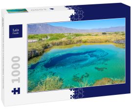 Lais Puzzle - Farbenfrohe Poza azul in Cuatrocienegas, Coahuila, Mexiko - 1.000 Teile