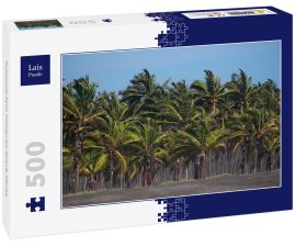 Lais Puzzle - Kokosnuss-Farm Palmen am Strand, Mexiko - 500 Teile