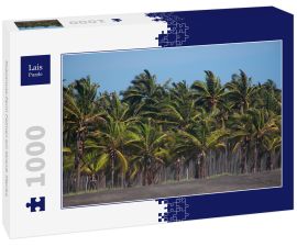 Lais Puzzle - Kokosnuss-Farm Palmen am Strand, Mexiko - 1.000 Teile