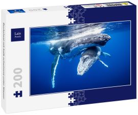 Lais Puzzle - Buckelwal mit Kalb schwimmt unter Wasser - 200 Teile