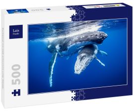 Lais Puzzle - Buckelwal mit Kalb schwimmt unter Wasser - 500 Teile