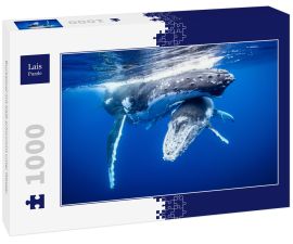 Lais Puzzle - Buckelwal mit Kalb schwimmt unter Wasser - 1.000 Teile