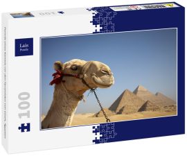 Lais Puzzle - Porträt eines Kamels vor den Pyramiden von Gizeh, Ägypten - 100 Teile