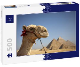 Lais Puzzle - Porträt eines Kamels vor den Pyramiden von Gizeh, Ägypten - 500 Teile