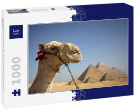 Lais Puzzle - Porträt eines Kamels vor den Pyramiden von Gizeh, Ägypten - 1.000 Teile