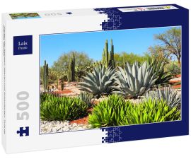 Lais Puzzle - Garten der Kakteen, Agaven und Sukkulenten, Tula de Allende, Mexiko - 500 Teile