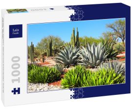 Lais Puzzle - Garten der Kakteen, Agaven und Sukkulenten, Tula de Allende, Mexiko - 1.000 Teile