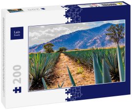Lais Puzzle - Pfad zwischen zwei geraden Linien von blauen Agaven in einer Tequila-Plantage mit einem Hügel und Bäumen im Hintergrund an einem wunderschönen und sonnigen Tag in Tequila Jalisco Mexiko - 200 Teile