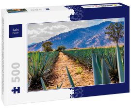 Lais Puzzle - Pfad zwischen zwei geraden Linien von blauen Agaven in einer Tequila-Plantage mit einem Hügel und Bäumen im Hintergrund an einem wunderschönen und sonnigen Tag in Tequila Jalisco Mexiko - 500 Teile