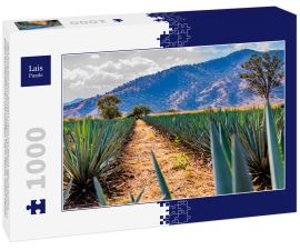Lais Puzzle - Pfad zwischen zwei geraden Linien von blauen Agaven in einer Tequila-Plantage mit einem Hügel und Bäumen im Hintergrund an einem wunderschönen und sonnigen Tag in Tequila Jalisco Mexiko - 1.000 Teile