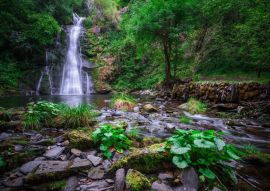 Lais Puzzle - Der Vieiros-Fluss, der Wasserfall, Mexiko - 500 & 1.000 Teile