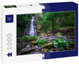 Lais Puzzle - Der Vieiros-Fluss, der Wasserfall, Mexiko - 1.000 Teile