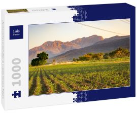 Lais Puzzle - Mexikanische Landschaften in Cuautla Morelos, Mexiko - 1.000 Teile