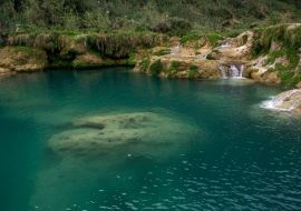 Lais Puzzle - Türkisfarbenes Wasserbecken mit Kalksteinformationen unter Wasser, umgeben von Wasserfällen im mit Farnen bewachsenen Fels, Mexiko - 500 & 1.000 Teile