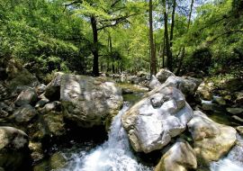 Lais Puzzle - Los Troncones, Tamaulipas, Mexiko - 500 & 1.000 Teile